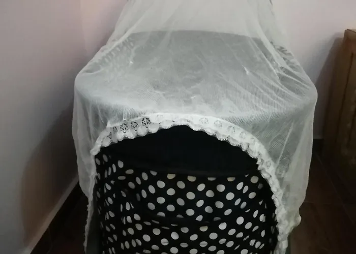 Panda House